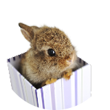 icon Bestel de cadeaukaart